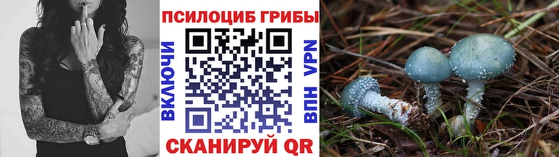 Псилоцибиновые грибы мицелий  Гагарин 